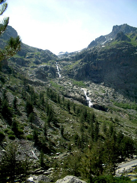 Corsica alpina